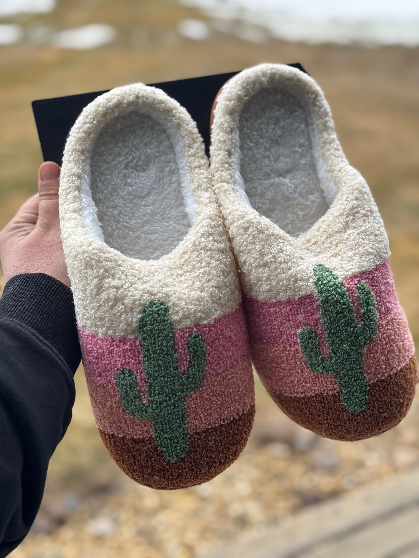Cactus Slippers