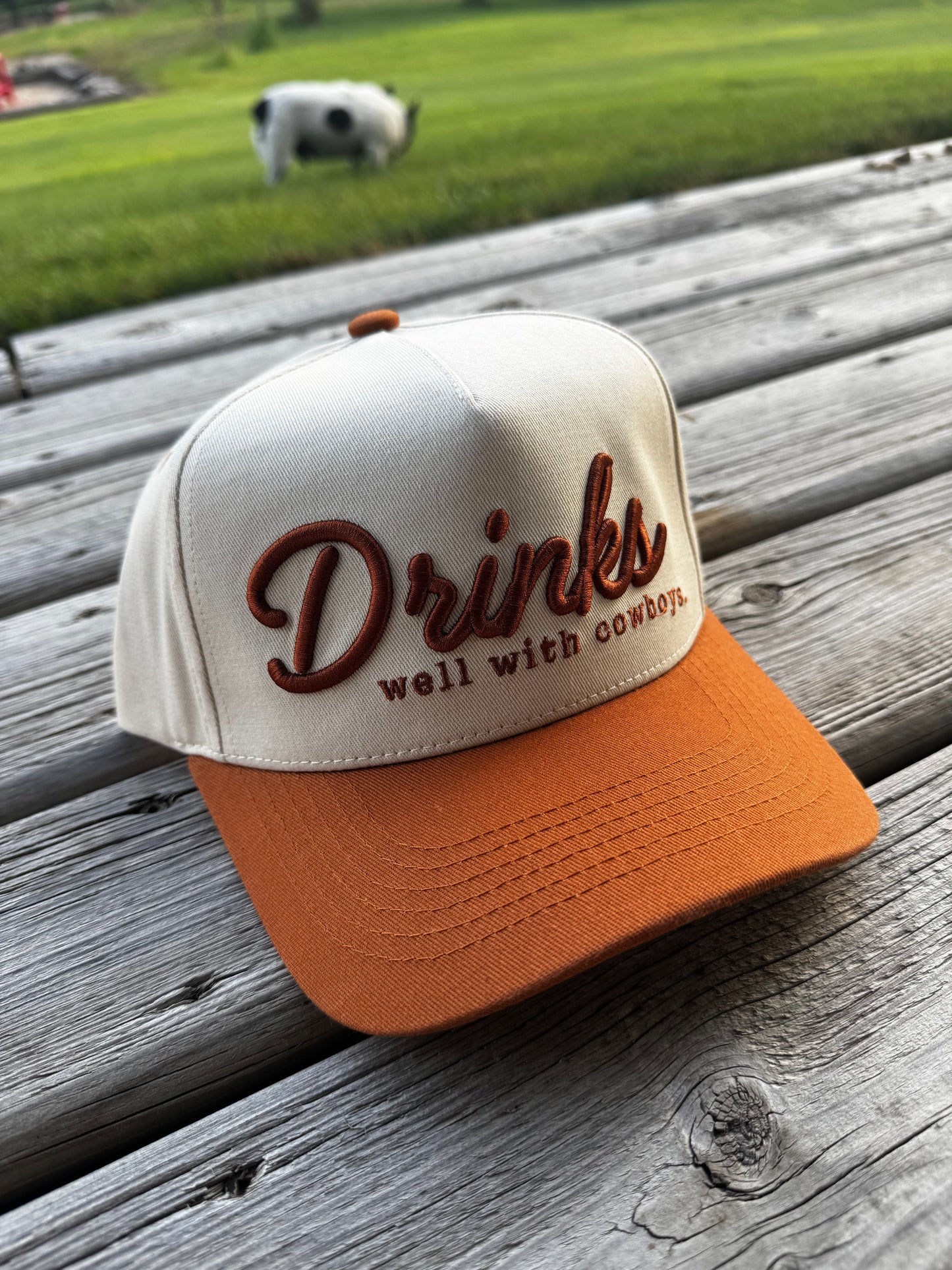 Drinks well with Others Cap