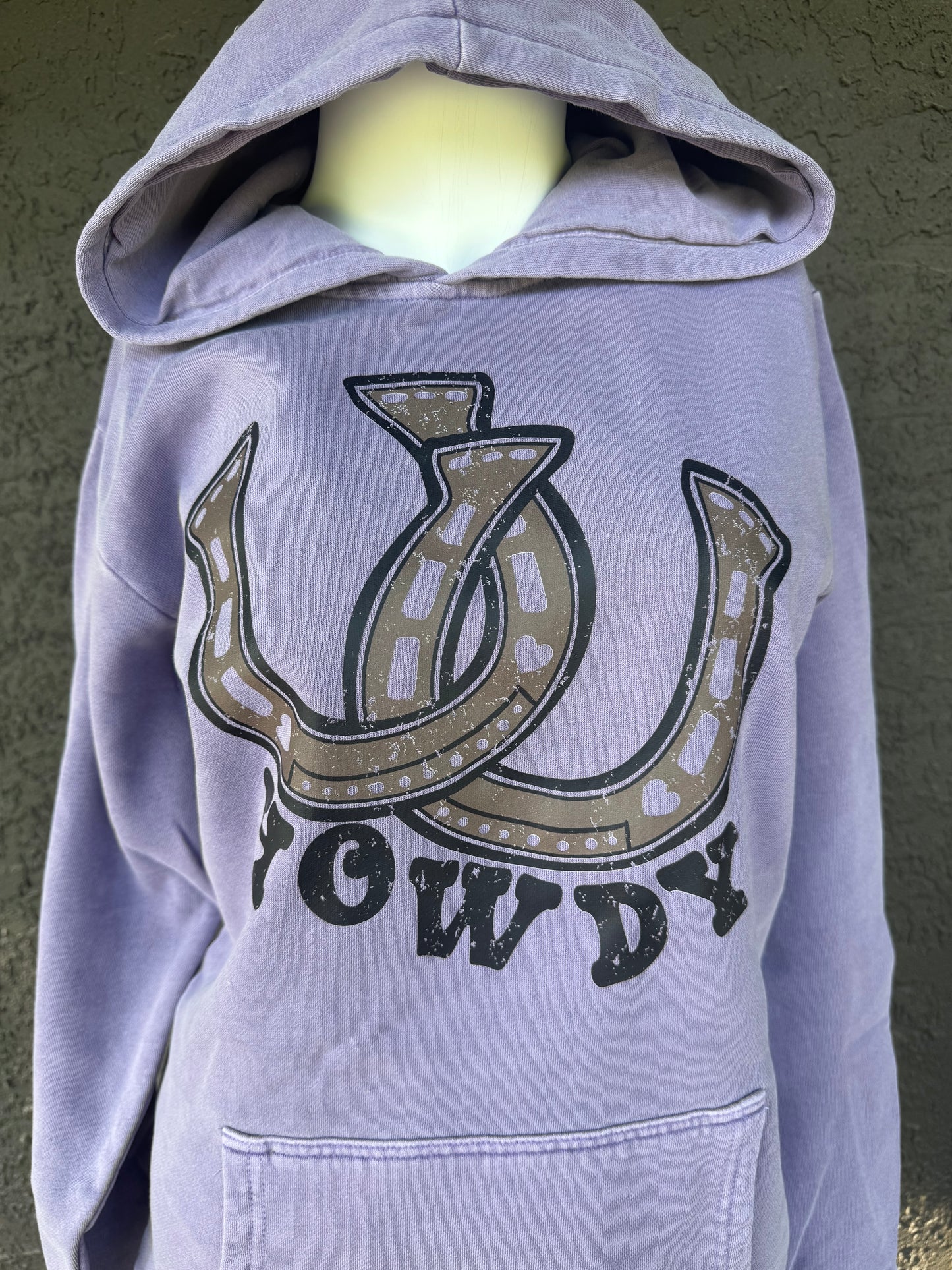 Howdy Horseshoes Hoodie