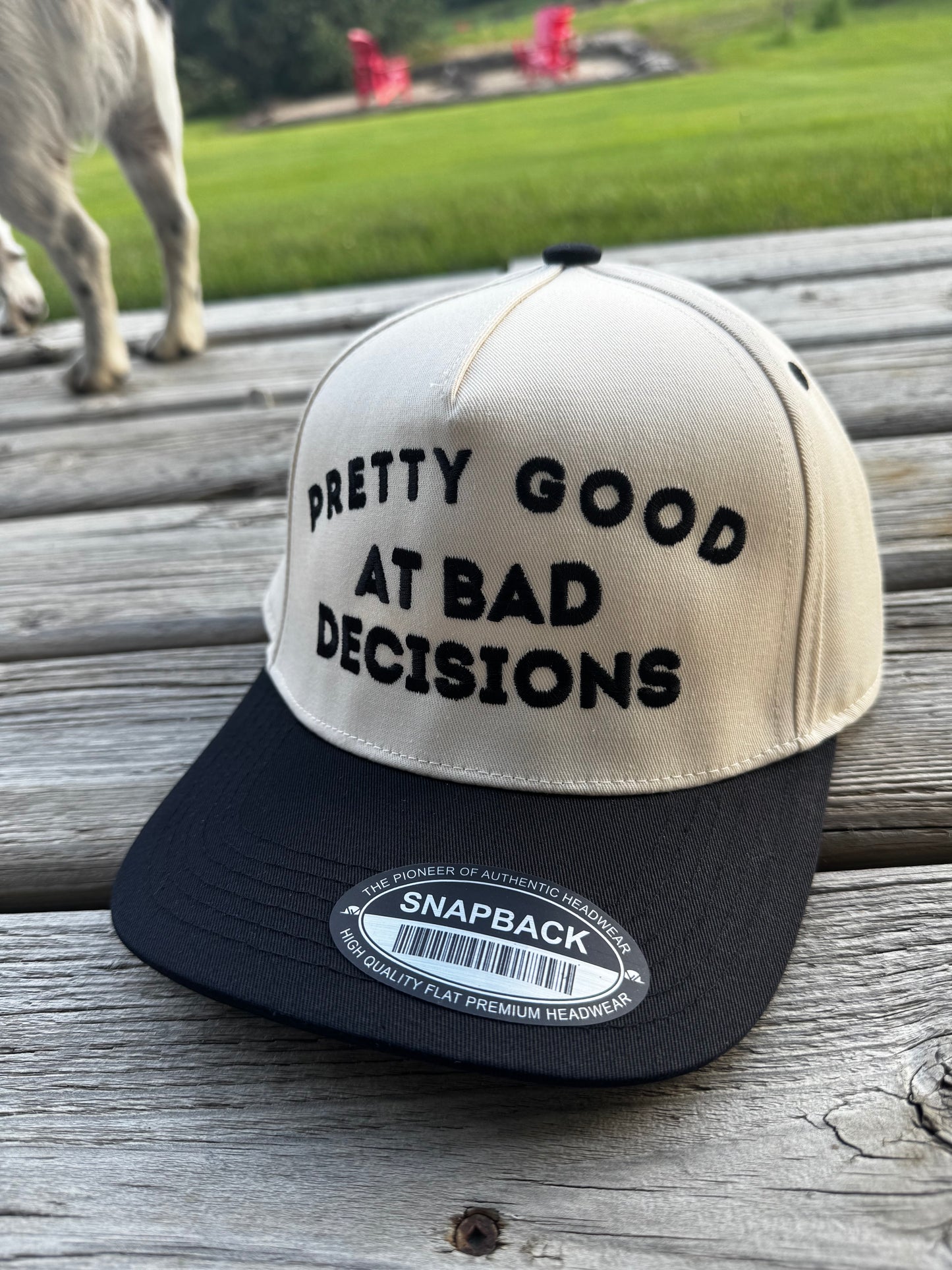 Bad Decisions Cap