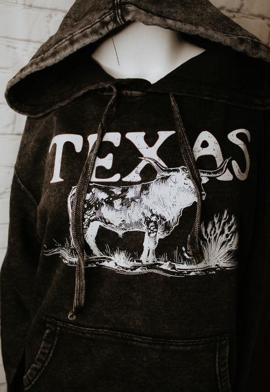 Texas Mineral Wash Hoodie